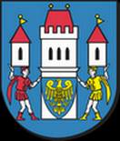 Najlepsza wróżka Skoczów